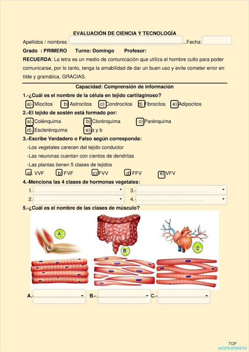 Ciencia y tecnologia primero. Ficha interactiva | TopWorksheets