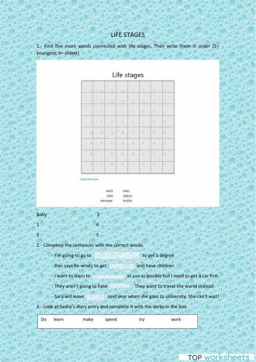 Life stages. Interactive worksheet | TopWorksheets