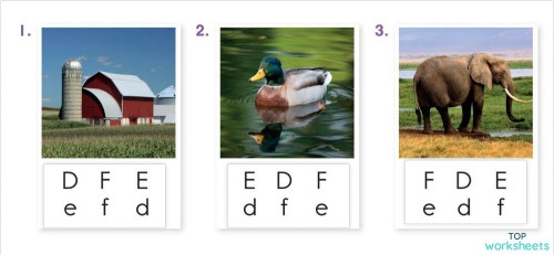 08 letters DEF. Interactive worksheet | TopWorksheets