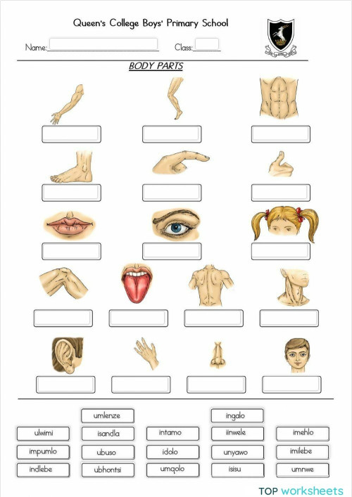 Xhosa Label the body parts (drag and drop). Interactive worksheet