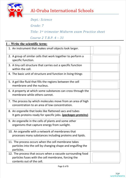 revision for the quiz. Interactive worksheet | TopWorksheets