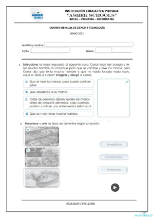 Evaluación de ciencia y tecnología. Ficha interactiva | TopWorksheets