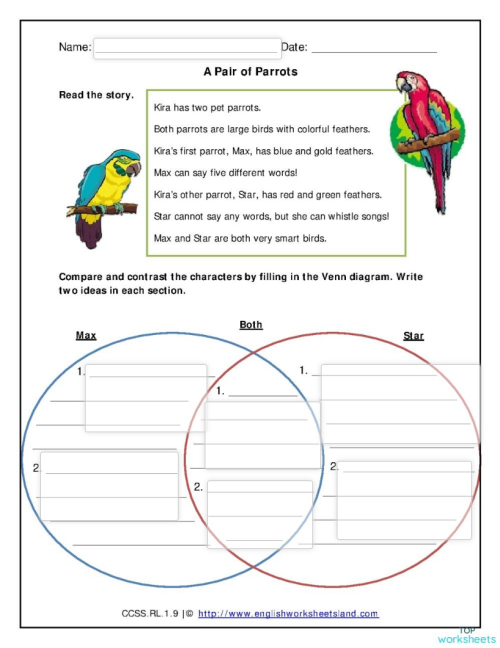 Compare & Contrast: a pair of parrots ใบงานเชิงโต้ตอบ | TopWorksheets