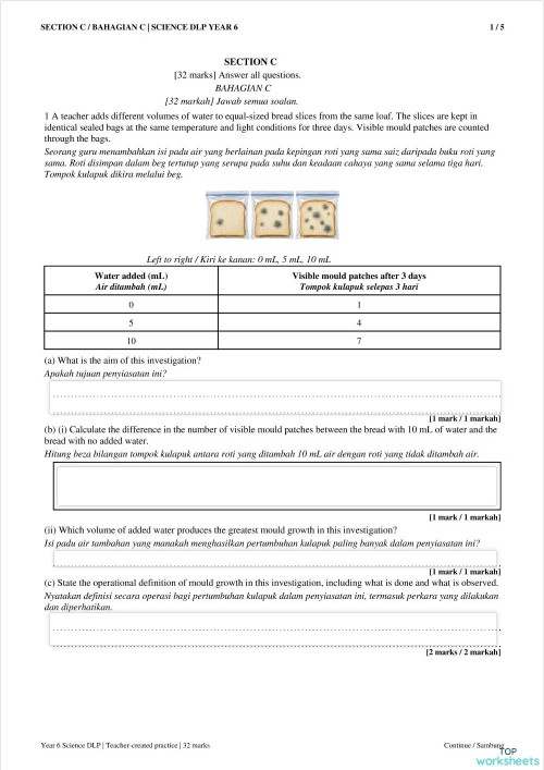 the weather. Interactive worksheet | TopWorksheets