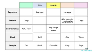 Year 6 Science | Vertebrate (Animals with Backbone). Interactive ...