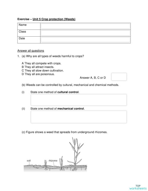 Unit 5 - Weeds part 2. Interactive worksheet | TopWorksheets