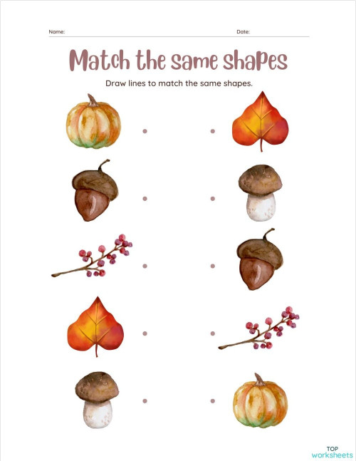 Match th same shapes. Interactive worksheet | TopWorksheets
