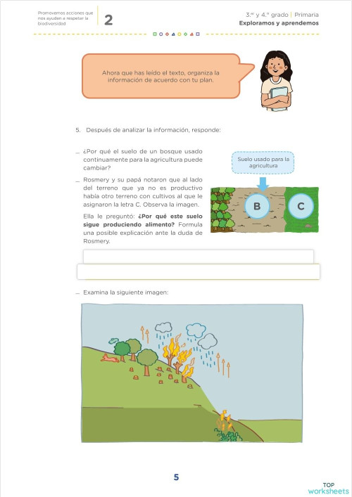 CIENCIA Y TECNOLOGÍA. Ficha interactiva | TopWorksheets