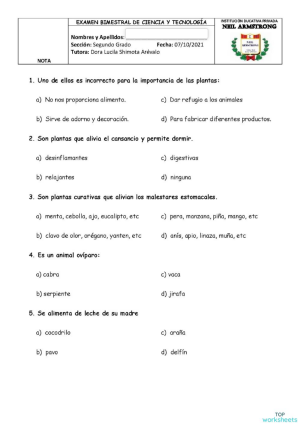 EXAMEN III BIMESTRE CIENCIA Y TECNOLOGÍA. Ficha interactiva | TopWorksheets