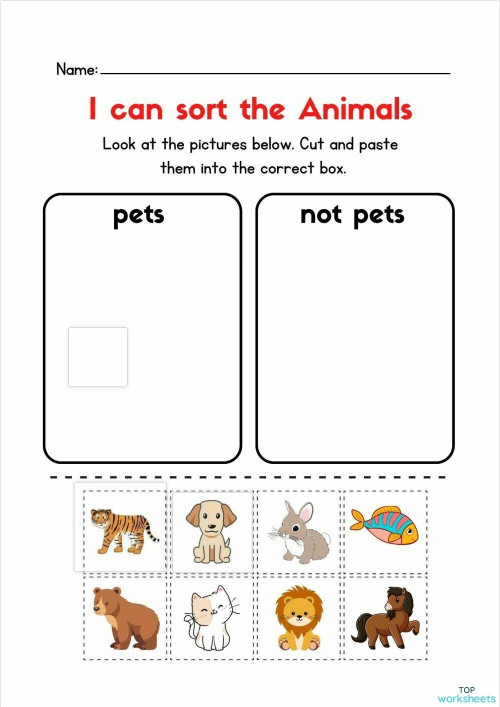 Colorful Fun Pet Animal Sorting Worksheet. Interactive worksheet ...
