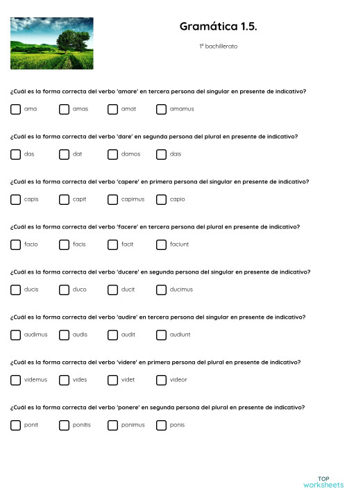 Gramática 1.5.. Ficha interactiva | TopWorksheets