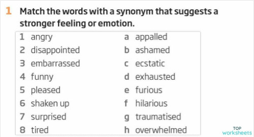 Feelings B2+. Interactive worksheet | TopWorksheets