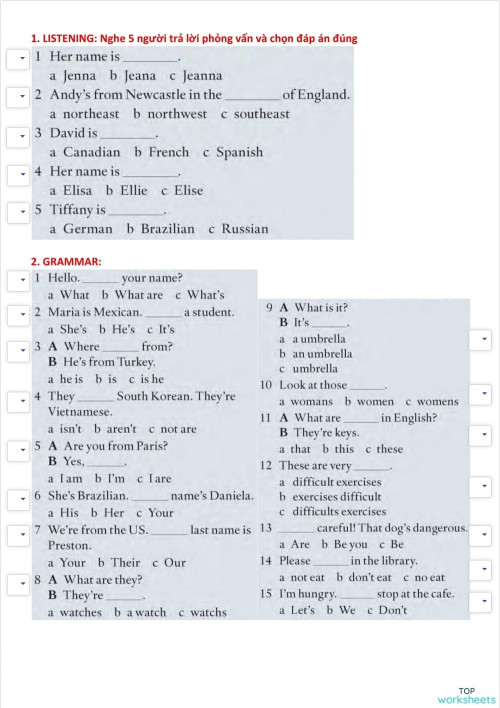 American English File 1 Review Unit 1 2 Interactive Worksheet