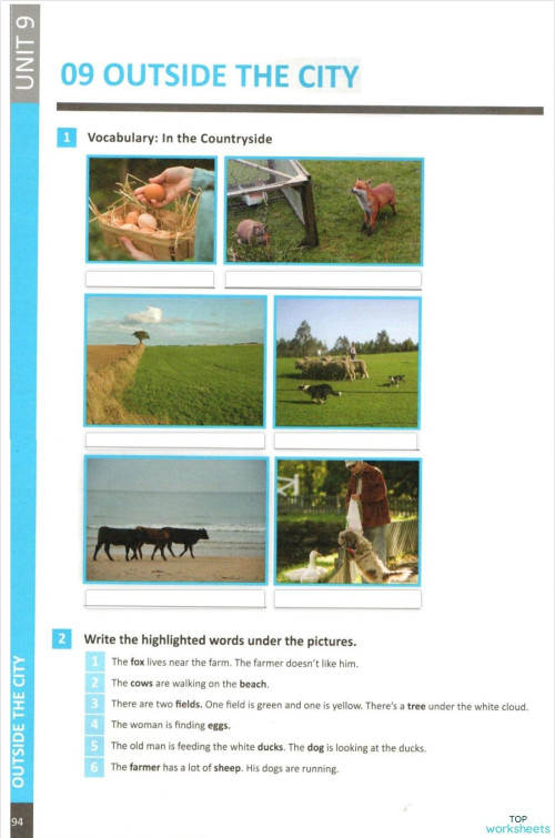 Primary Unit 9 page 94. Interactive worksheet | TopWorksheets