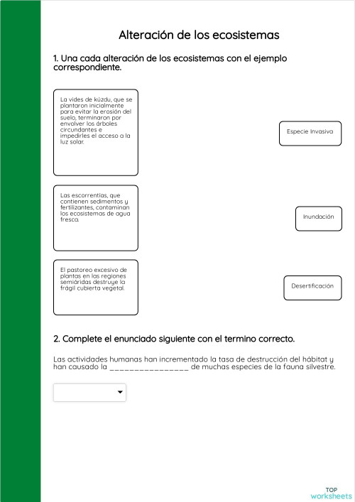 Ficha sobre el cuidado del medio ambiente. Ficha interactiva ...