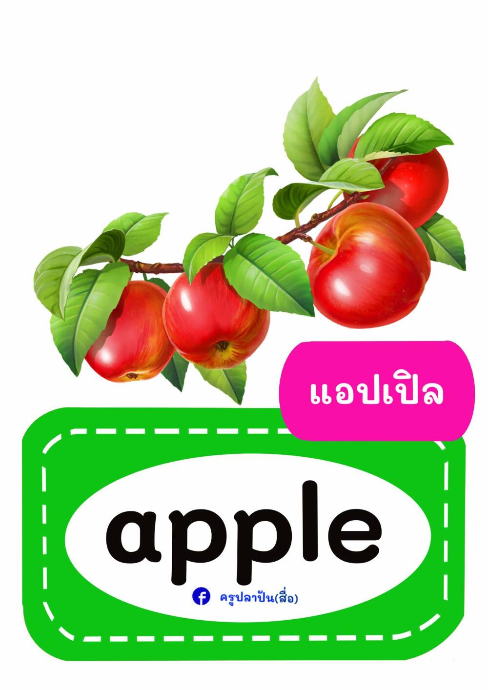 C35 ภควรรณ ชิขุนทด ใบงานเชิงโต้ตอบ | TopWorksheets