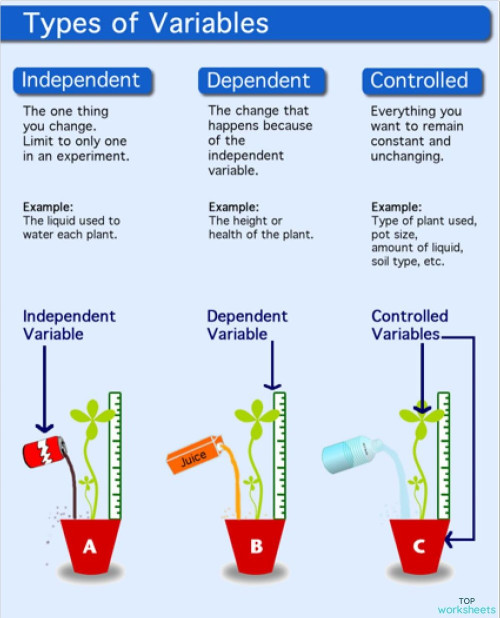 Independent, dependent variable and control. Interactive worksheet ...