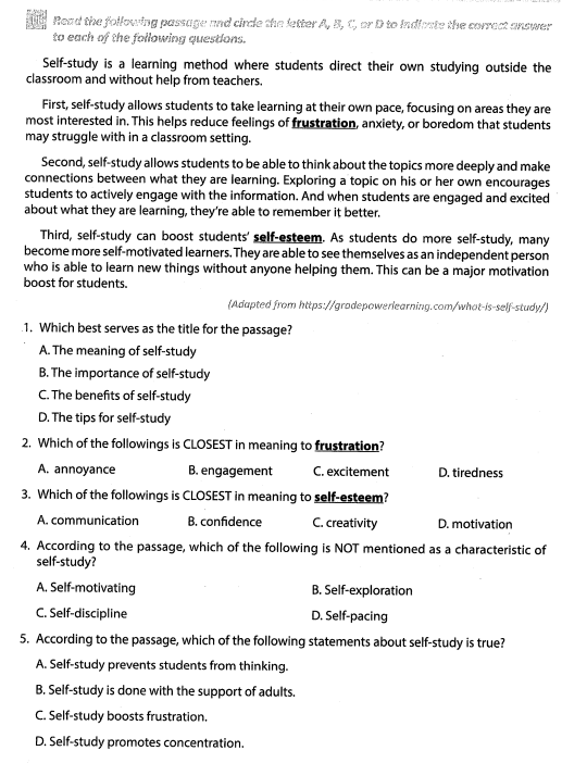 GRADE 11 - TEST UNIT 8. Interactive worksheet | TopWorksheets