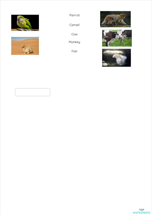 Animals, Match. Interactive worksheet | TopWorksheets