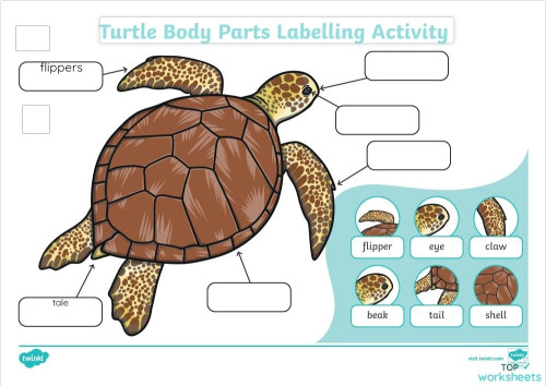 Unit 3- Get ready for flyers. Interactive worksheet | TopWorksheets