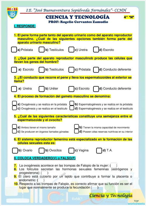 CIENCIA Y TEC-4H. Ficha interactiva | TopWorksheets