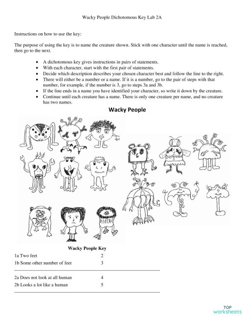 Wacky People Dichotomous Key Lab Answer Sheet. Interactive