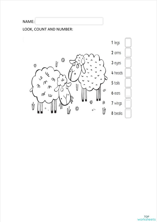 SECOND EXAM JUNIOR STARTER. Interactive worksheet | TopWorksheets
