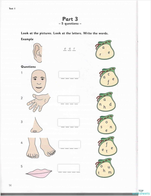 READING PRACTICE. Interactive worksheet | TopWorksheets
