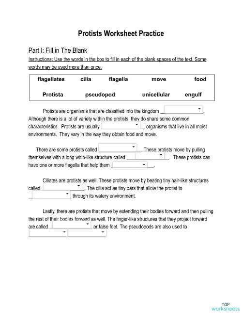 protists-worksheet-practice-interactive-worksheet-topworksheets