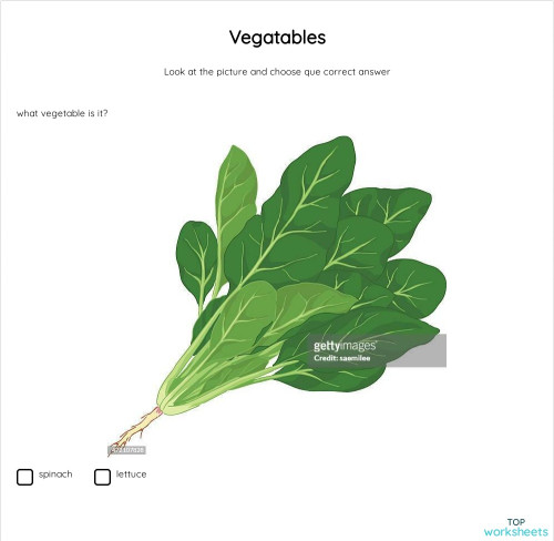 Vegatables. Interactive worksheet | TopWorksheets