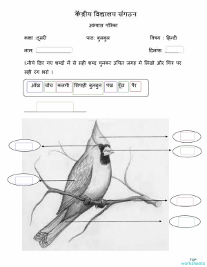 2nd grade interactive worksheets and online exercises topworksheets