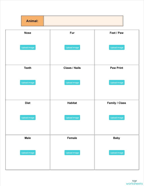Daily Animal. Interactive worksheet | TopWorksheets