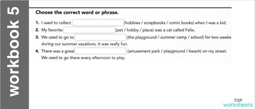 IC201 workbook 05. Interactive worksheet | TopWorksheets