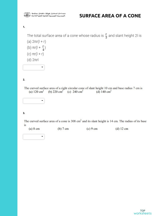 SURFACE AREA OF A CONE. Interactive worksheet TopWorksheets