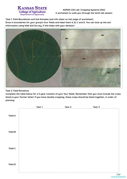 Lab 10: Cropping Systems (SW). Interactive worksheet | TopWorksheets