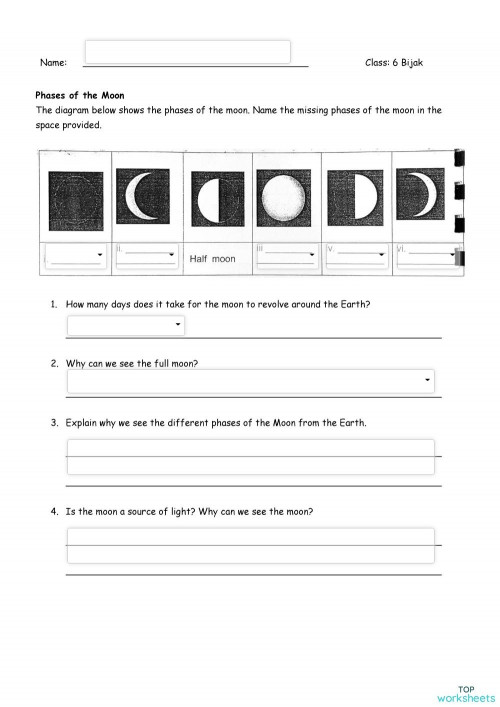natural science interactive worksheets and online exercises topworksheets