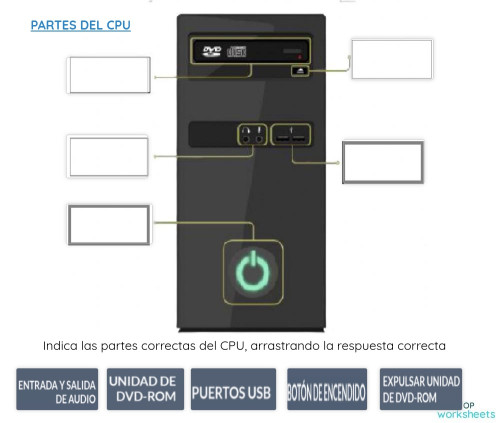 Partes Internas Del Cpu 2 Ficha Interactiva Topworksheets Porn Sex