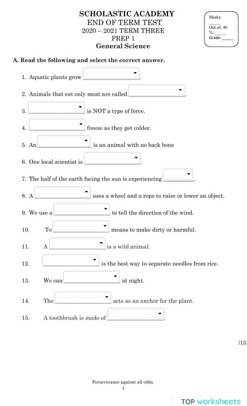 secret test. Interactive worksheet TopWorksheets