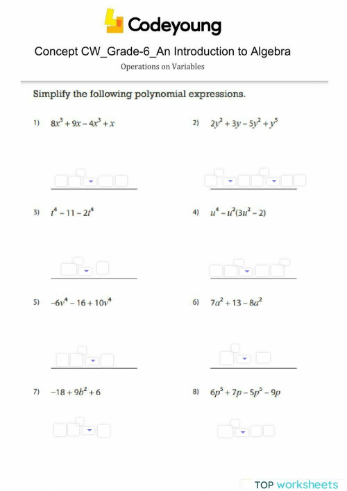 Operations on Variables Concept CW. Interactive worksheet | TopWorksheets