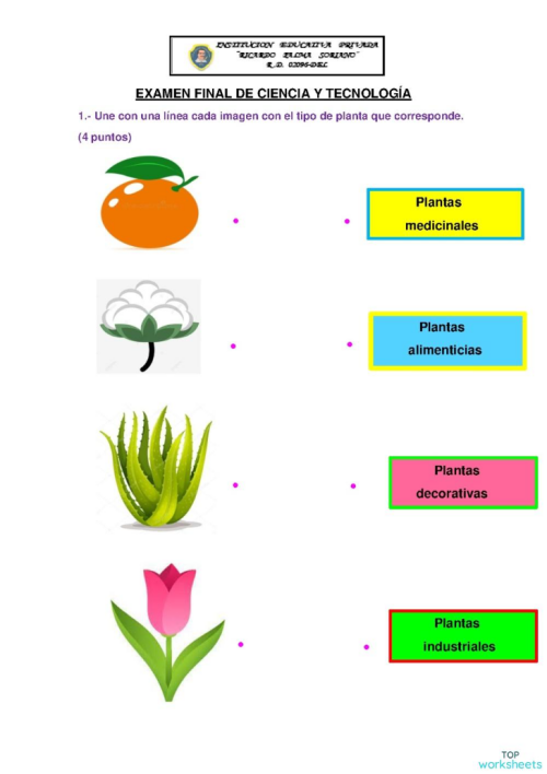 Examen Final de Ciencia y Tecnología. Ficha interactiva | TopWorksheets