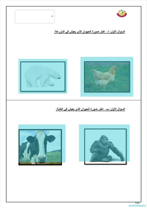 reem al shawaaf. ورقة عمل تفاعلية | TopWorksheets