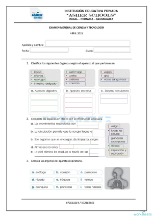 Ciencia y tecnología. Ficha interactiva | TopWorksheets