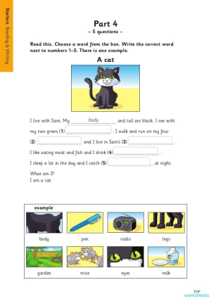 READING AND WRITING. Interactive worksheet | TopWorksheets
