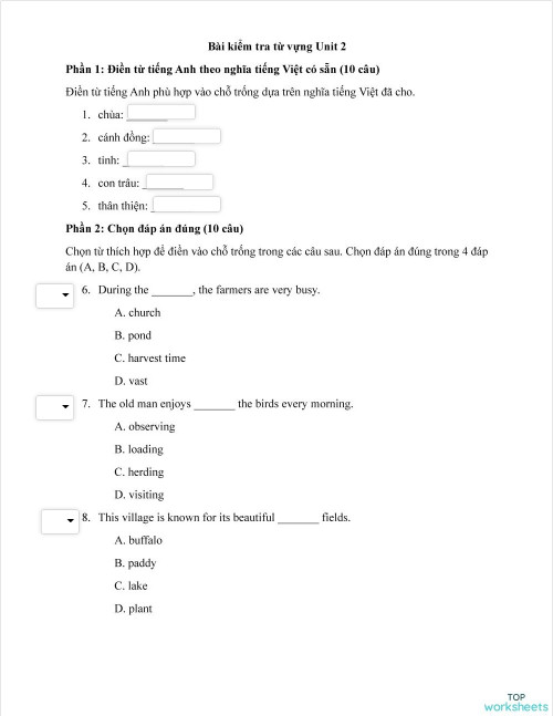 E8 Unit2 Vocabulary Test Interactive Worksheet Topworksheets