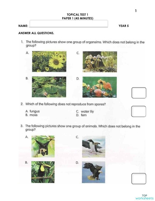 natural science interactive worksheets and online exercises topworksheets