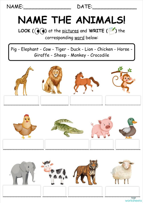 Animals+Actions. Interactive worksheet | TopWorksheets