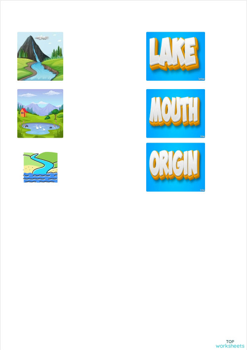 match the image to each name. Interactive worksheet | TopWorksheets