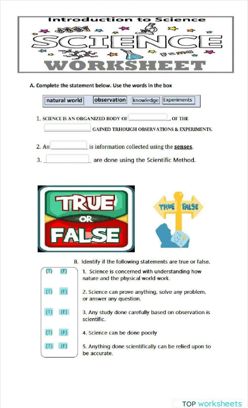 Introduction to Science. Interactive worksheet | TopWorksheets