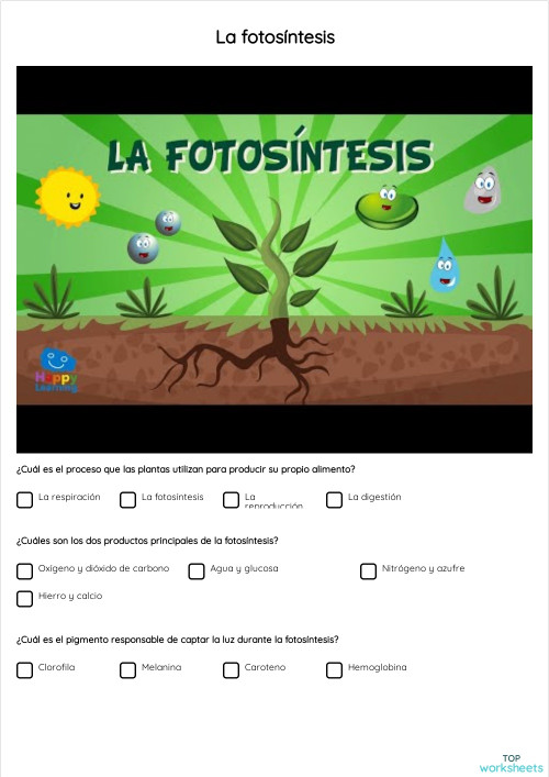 La fotosíntesis. Ficha interactiva | TopWorksheets