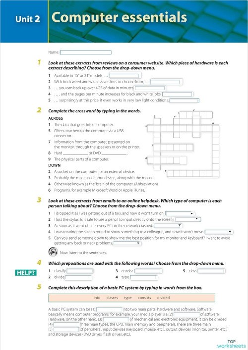 Computer hardware. Interactive worksheet | TopWorksheets